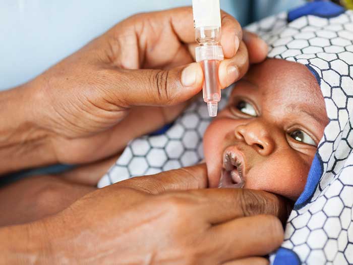 A child being vaccinated for polio A child being vaccinated for polio