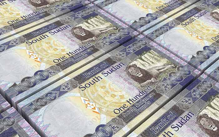 South Sudanese pound South Sudanese pound